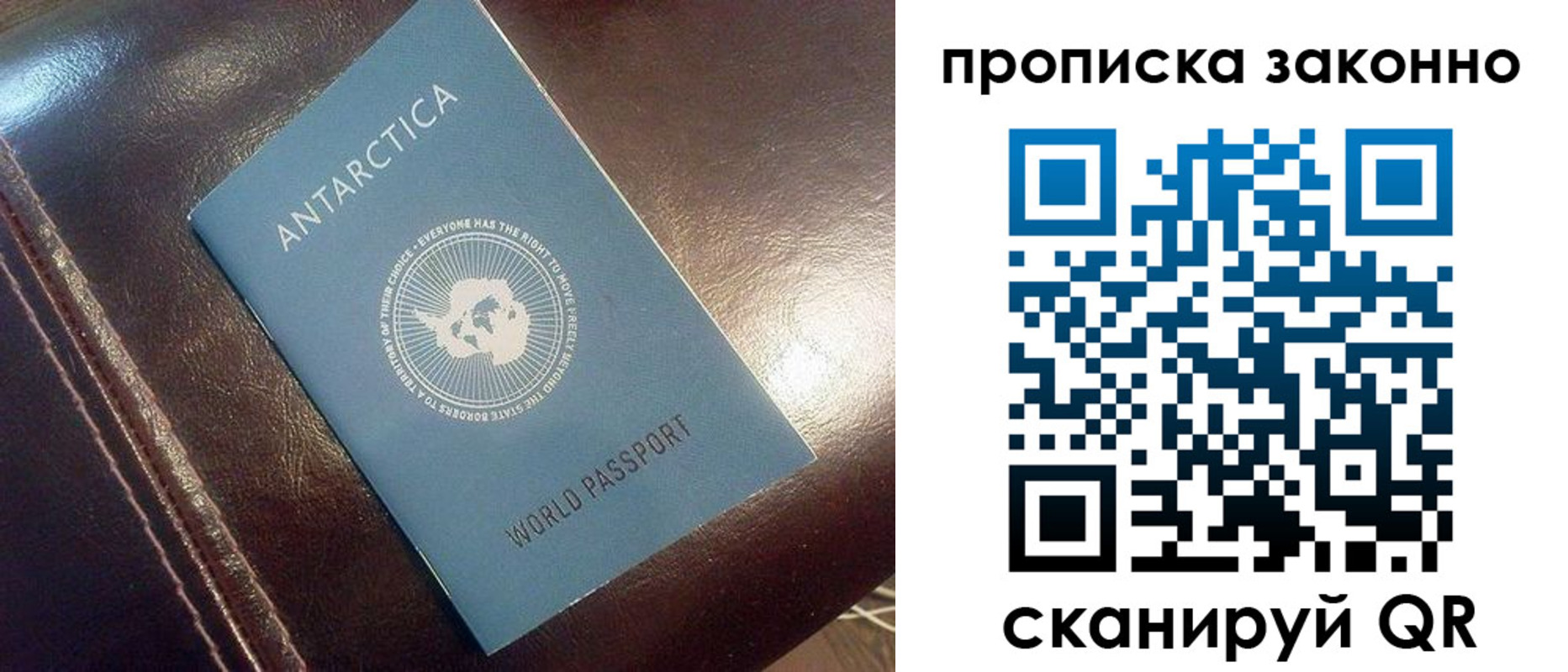 прописка в квартире в Ельне