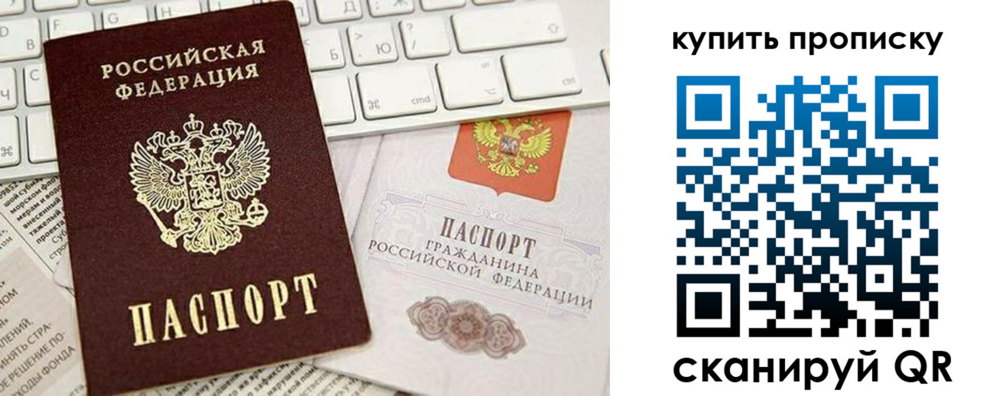 прописка гарантия в Ельне